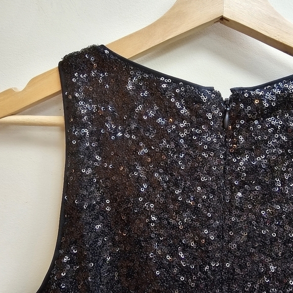 Cachet Dress, Sequins Top and Voluminous Pleated Skirt, Size Large - Picture 4 of 7